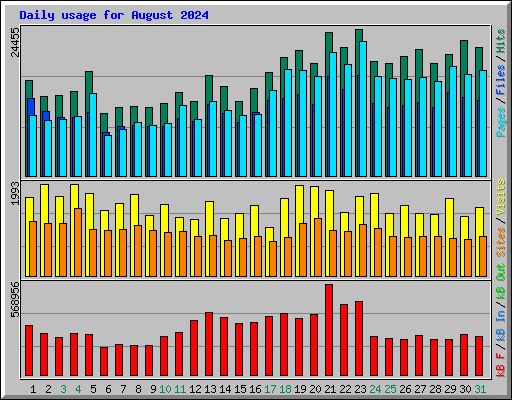 Daily usage for August 2024