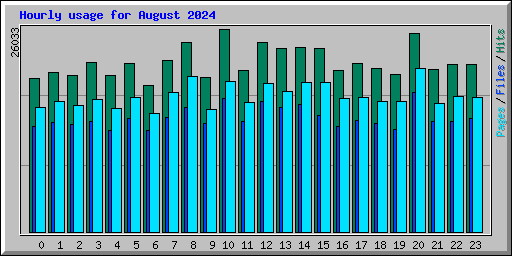 Hourly usage for August 2024