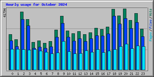 Hourly usage for October 2024