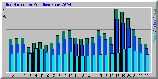 Hourly usage for November 2024