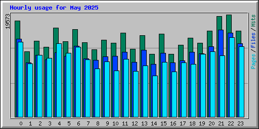 Hourly usage for May 2025