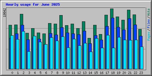 Hourly usage for June 2025