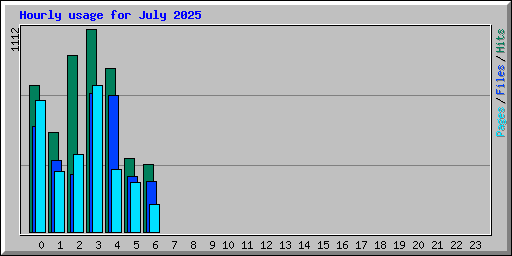 Hourly usage for July 2025