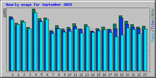 Hourly usage for September 2025