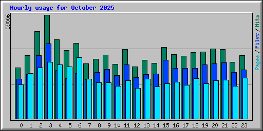 Hourly usage for October 2025