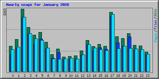 Hourly usage for January 2026