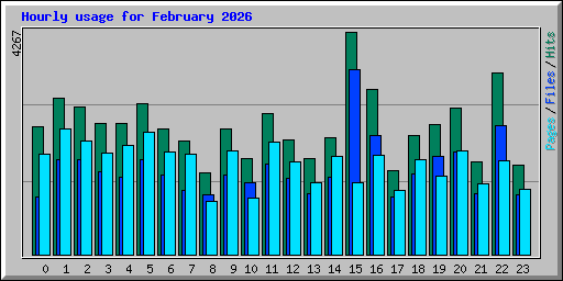 Hourly usage for February 2026