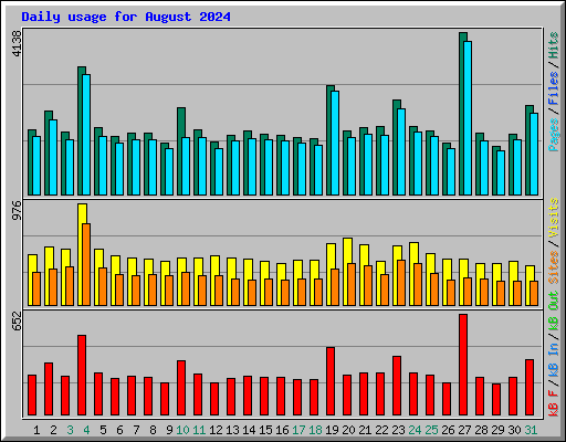 Daily usage for August 2024