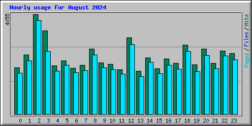 Hourly usage for August 2024