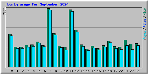 Hourly usage for September 2024