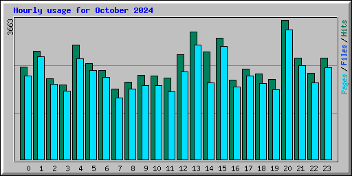 Hourly usage for October 2024