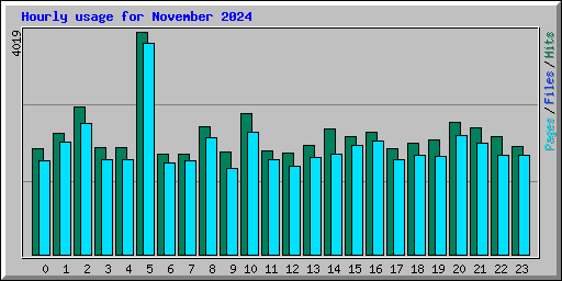 Hourly usage for November 2024