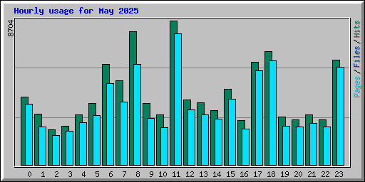 Hourly usage for May 2025