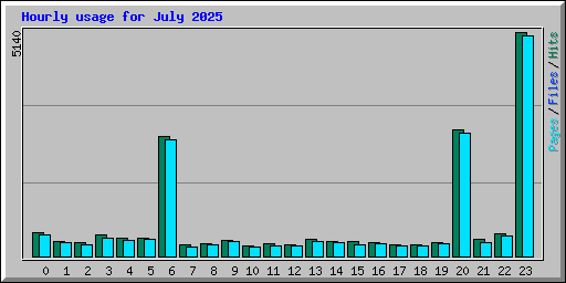 Hourly usage for July 2025