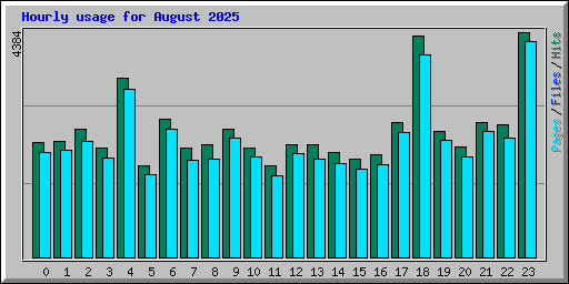Hourly usage for August 2025