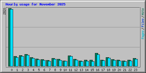 Hourly usage for November 2025