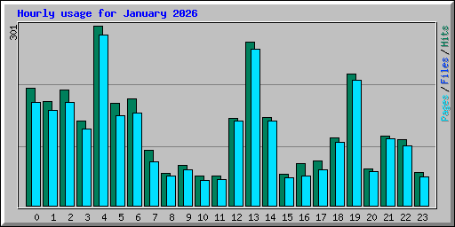 Hourly usage for January 2026