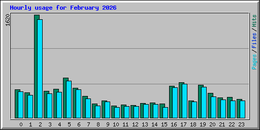 Hourly usage for February 2026