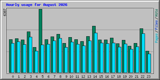 Hourly usage for August 2026